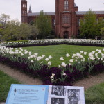 Smithsonian Gardens, Washington, USA